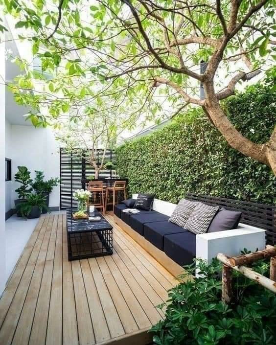Amazing garden ideas